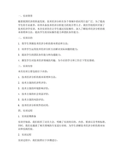 技术经济学实训报告