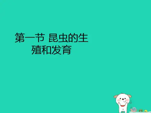 4.《昆虫的生殖和发育》课件(济南版)