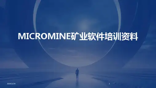 2024年MICROMINE矿业软件培训资料