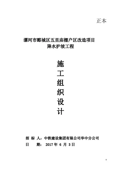 (技术标)降水护坡工程施工组织设计