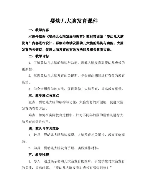 婴幼儿大脑发育课件