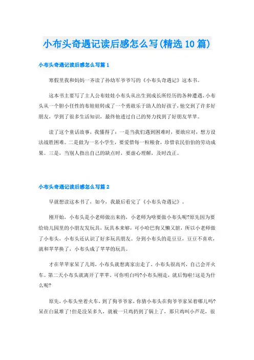 小布头奇遇记读后感怎么写(精选10篇)