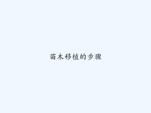 苗木移植的步骤 PPT