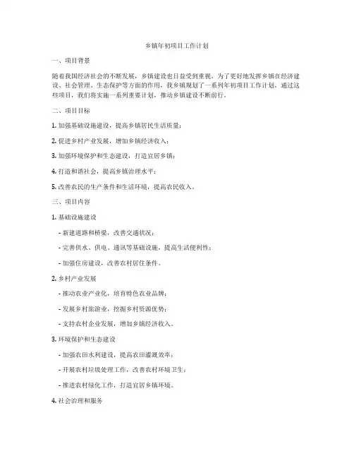 乡镇年初项目工作计划