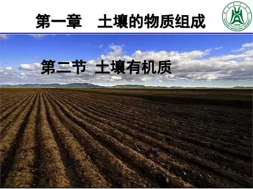 2013 第一章2 土壤有机质
