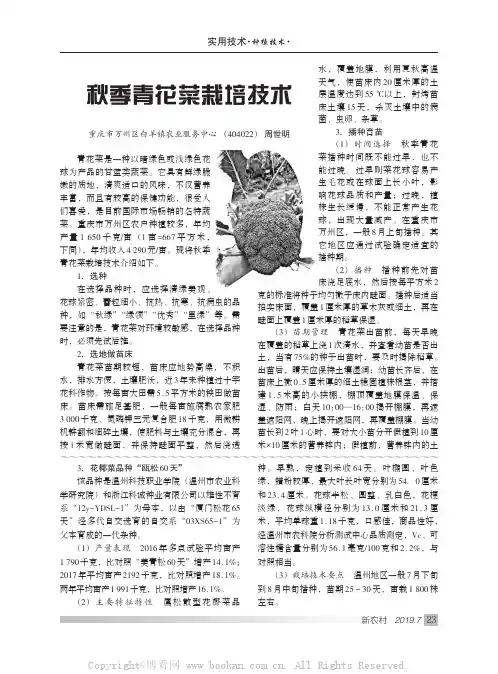 秋季青花菜栽培技术