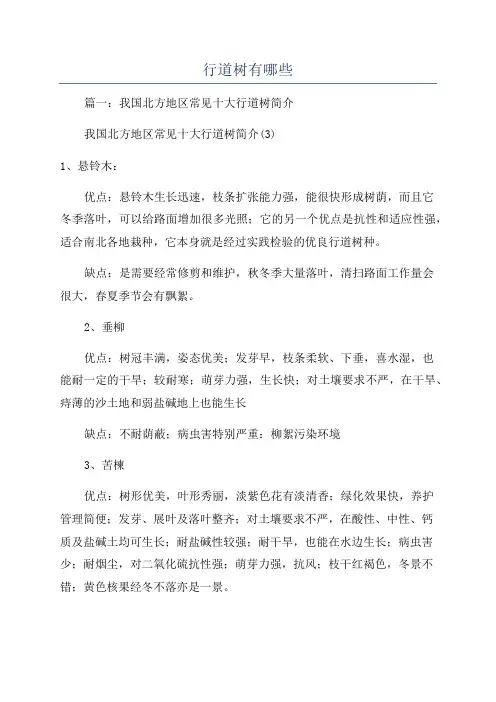 行道树有哪些