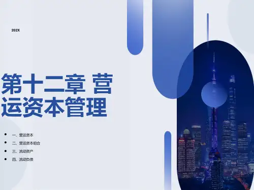 财务管理17营运资本
