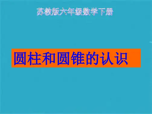苏教版六年级下册数学《圆柱和圆锥的认识》课件PPT(共19张PPT)
