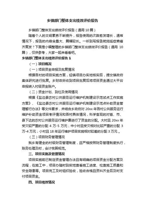 乡镇部门整体支出绩效评价报告（通用10篇）