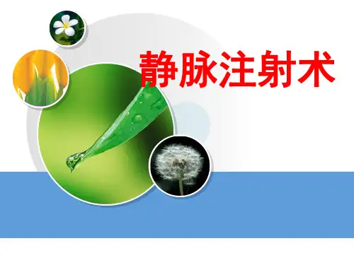 静脉注射法