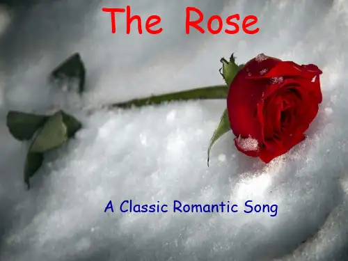 The Rose