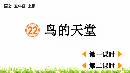 人教版五年级语文上册第七单元第22课《鸟的天堂》上课课件