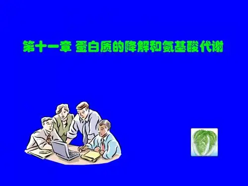 生物化学简明教程第四版11氨基酸代谢