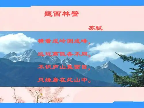 北师大版七年级上册数学从不同的方向看课件