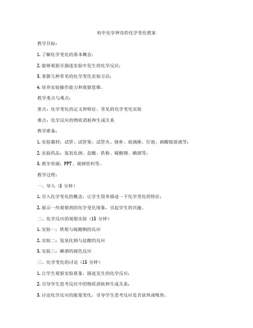 初中化学神奇的化学变化教案