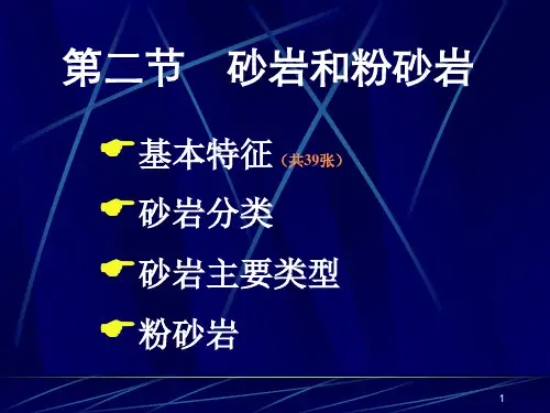 5_砂岩和粉砂岩