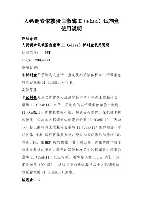 人钙调素依赖蛋白激酶II