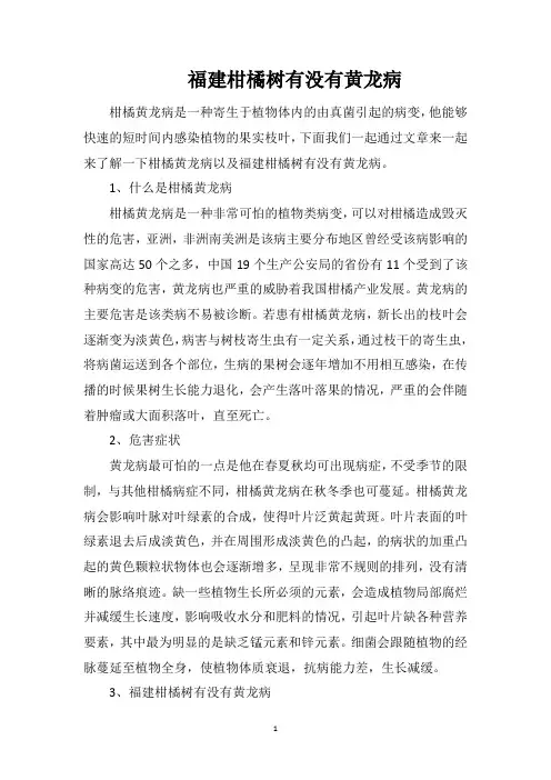 福建柑橘树有没有黄龙病