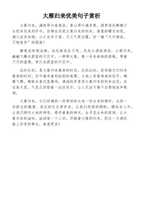 大雁归来优美句子赏析