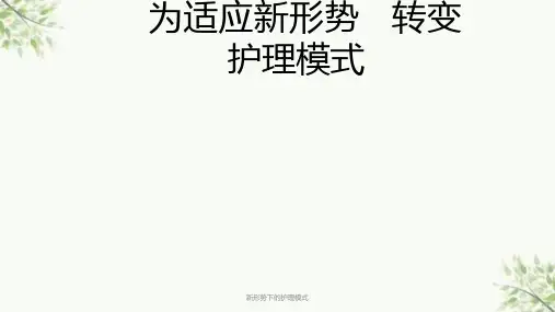 新形势下的护理模式ppt课件