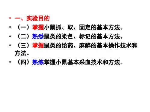 小鼠实验的基本技术和方法ppt课件