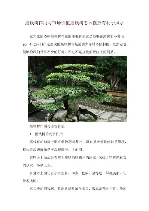摇钱树作用与市场价值  摇钱树怎么摆放有利于风水