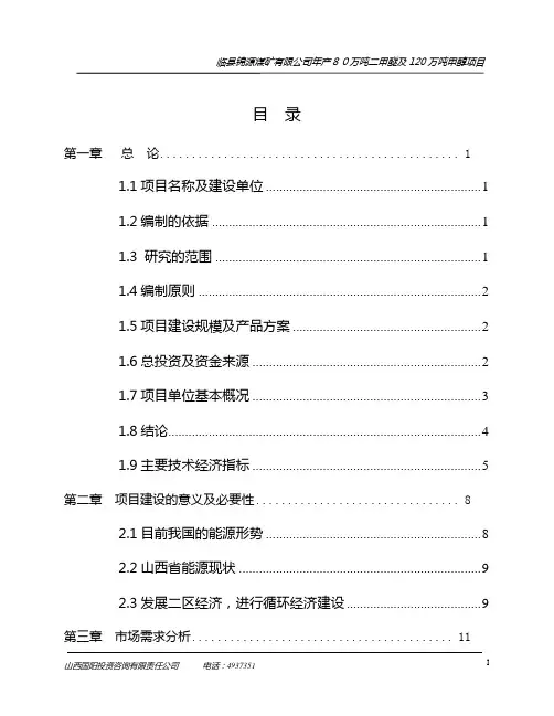 年产80万吨二甲醚及120万吨甲醇项目可行性研究报告182页