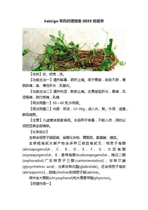 heinigo草药药理搜集0039鸡骨草