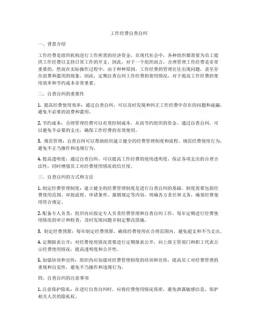 工作经费自查自纠