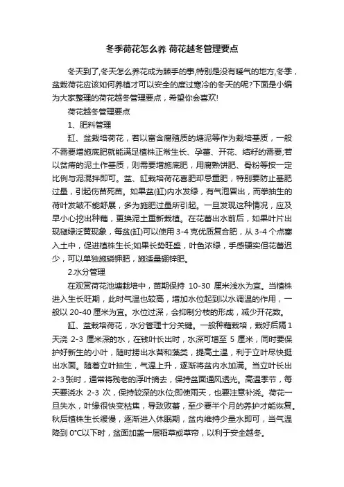 冬季荷花怎么养荷花越冬管理要点
