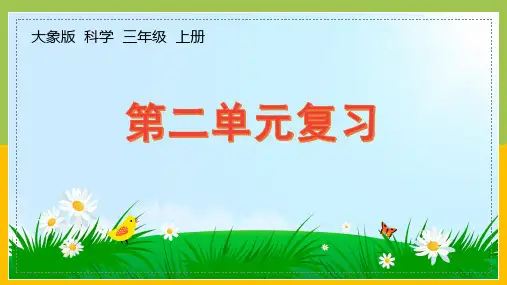 大象版三年级上册科学第二单元复习课件