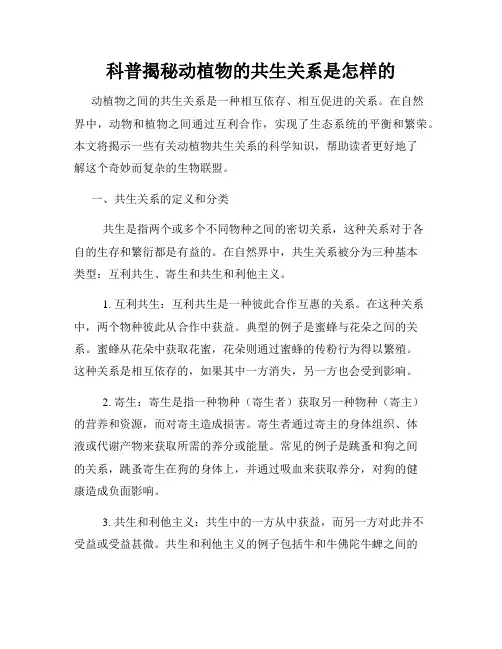 科普揭秘动植物的共生关系是怎样的