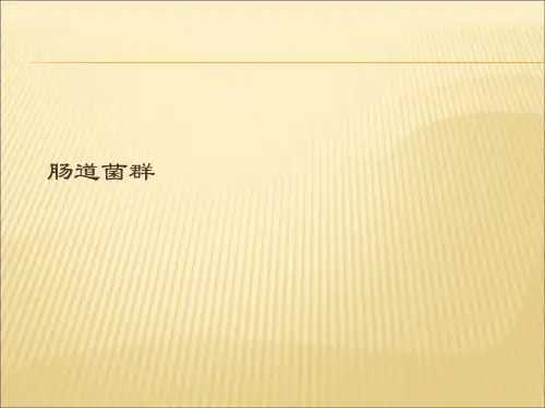 肠道菌群PPT课件