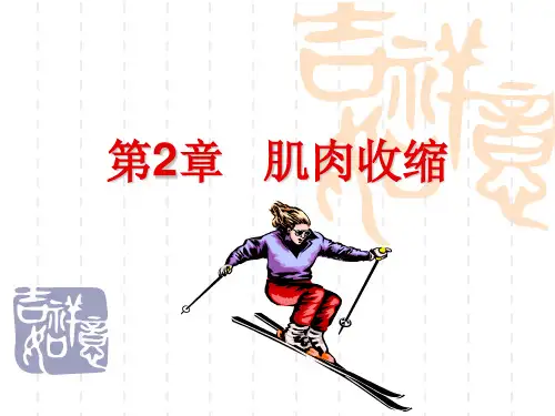 肌肉收缩