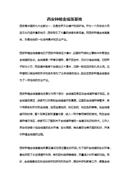 西安种植金线莲基地