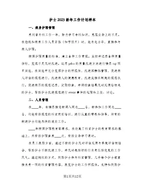护士2023新年工作计划样本(4篇)