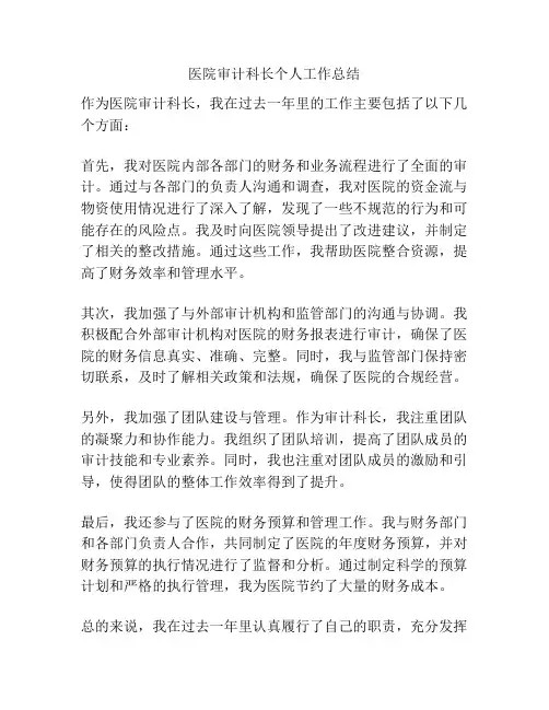 医院审计科长个人工作总结