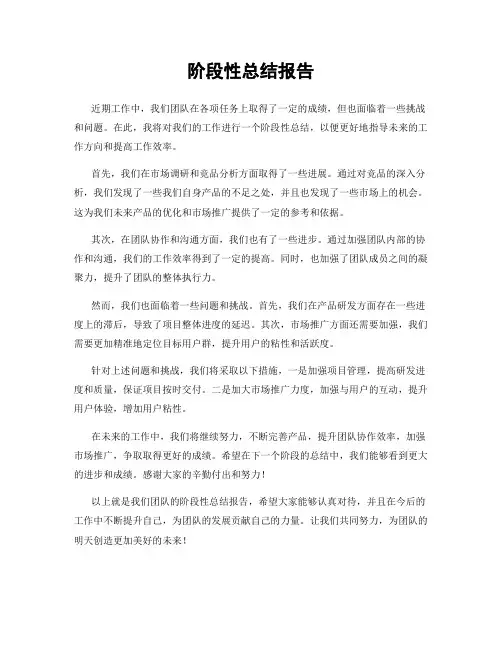 阶段性总结报告