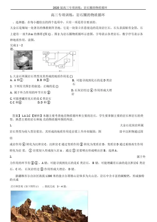 2020届高三专项训练：岩石圈的物质循环