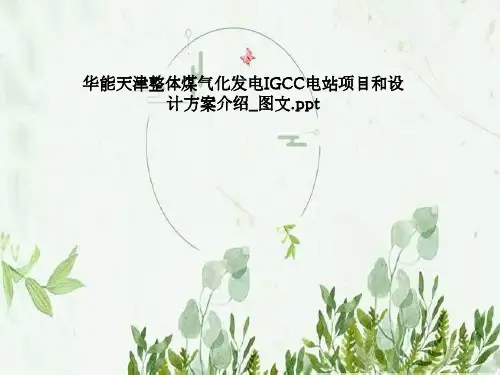 华能天津整体煤气化发电IGCC电站项目和设计方案介绍_图文