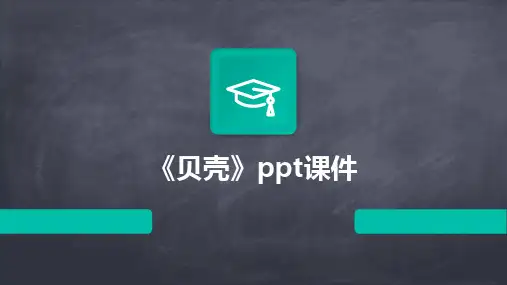 2024版《贝壳》ppt课件