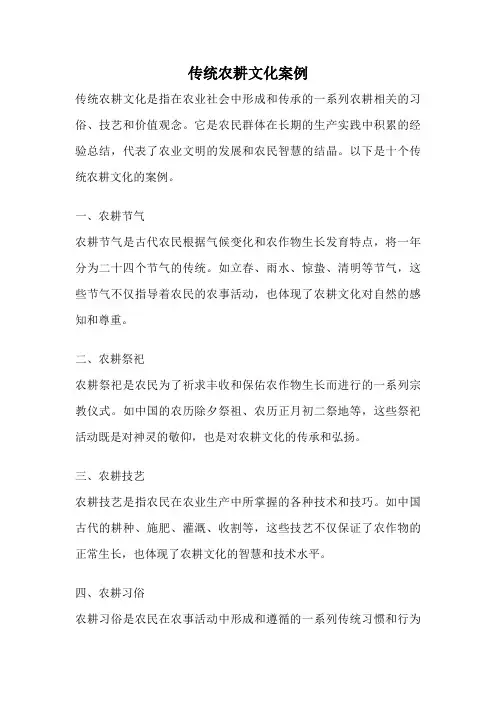 传统农耕文化案例