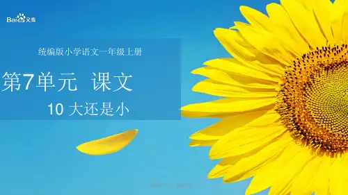 精编人教部编版2019一年级上册语文课件课文10 大还是小