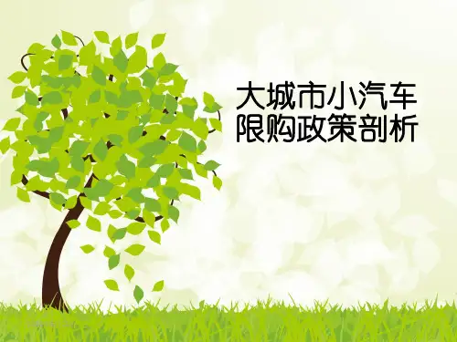 大城市小汽车限购政策剖析PPT课件