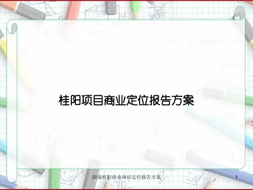 湖南桂阳商业项目定位报告方案