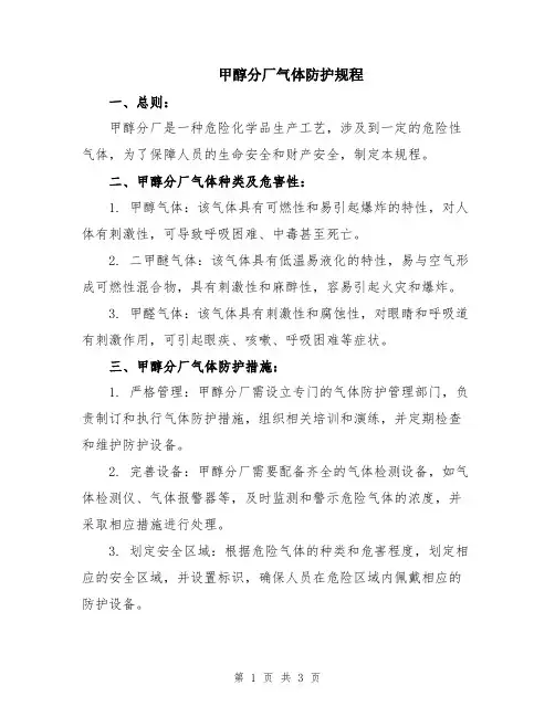 甲醇分厂气体防护规程