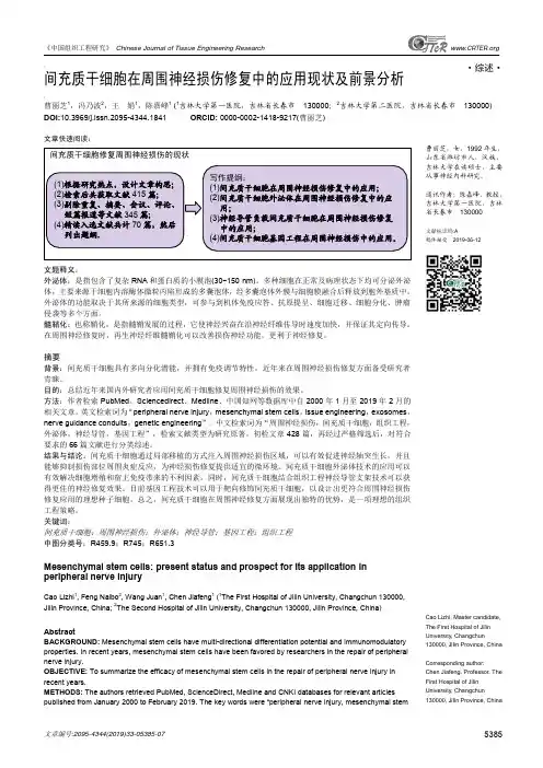 间充质干细胞在周围神经损伤修复中的应用现状及前景分析