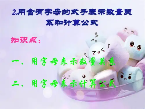第二节：用含有字母的式子表示数量关系和计算公式