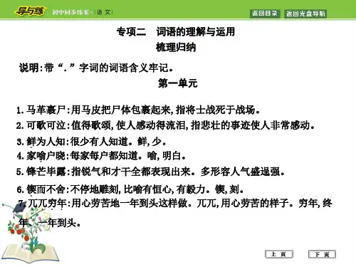 部编版七年级下期末专项复习  专项二 词语的理解与运用